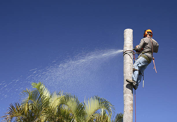 Lawn Irrigation Installation and Maintenance in Seven Fields, PA